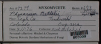 Image Associated With the Occurence